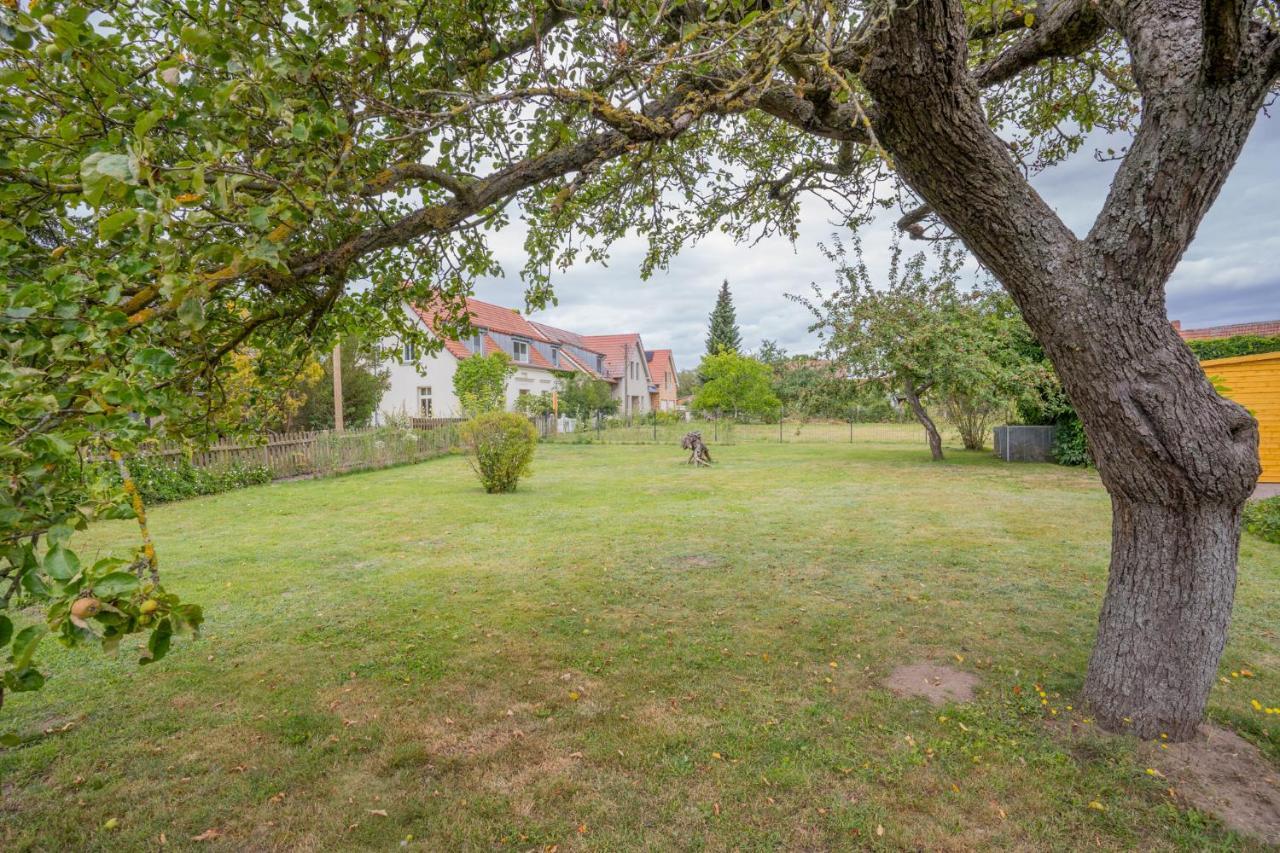 Ferienhaus "Seeadler" In Rankwitz Am Peenestrom Екстериор снимка